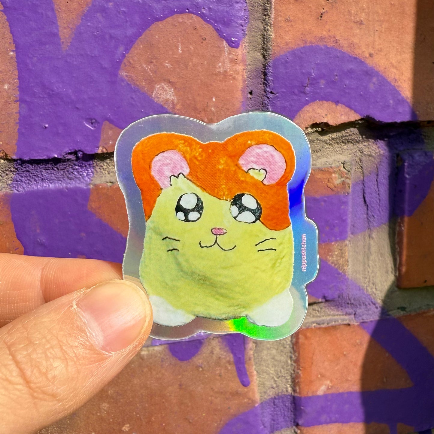 Hamhams (Set of 3)